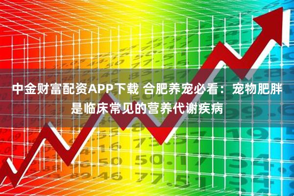 中金财富配资APP下载 合肥养宠必看：宠物肥胖是临床常见的营养代谢疾病