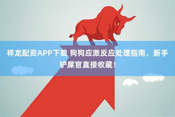祥龙配资APP下载 狗狗应激反应处理指南，新手铲屎官直接收藏！