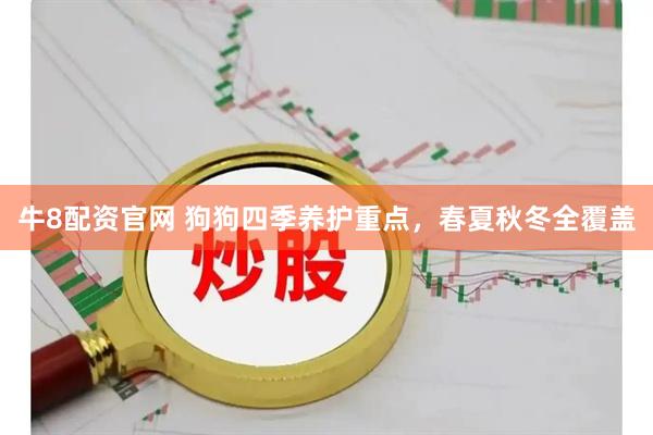 牛8配资官网 狗狗四季养护重点，春夏秋冬全覆盖